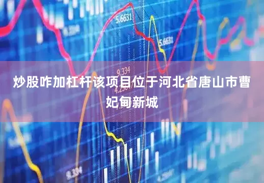炒股咋加杠杆　　该项目位于河北省唐山市曹妃甸新城