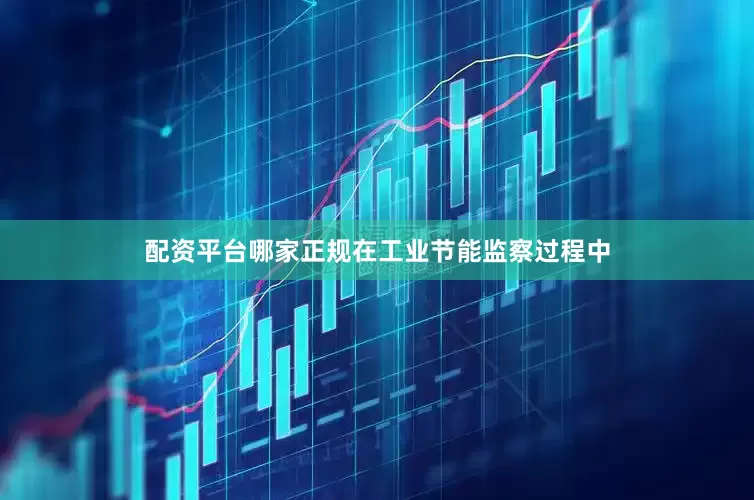 配资平台哪家正规在工业节能监察过程中